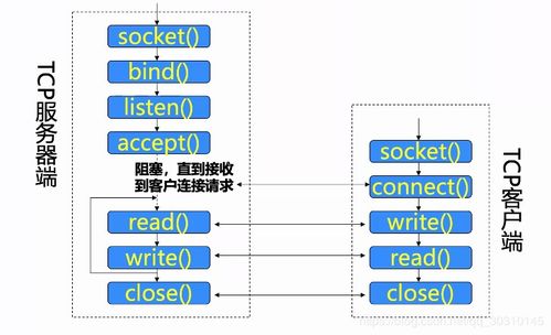 計算機網(wǎng)絡(luò) socket編程